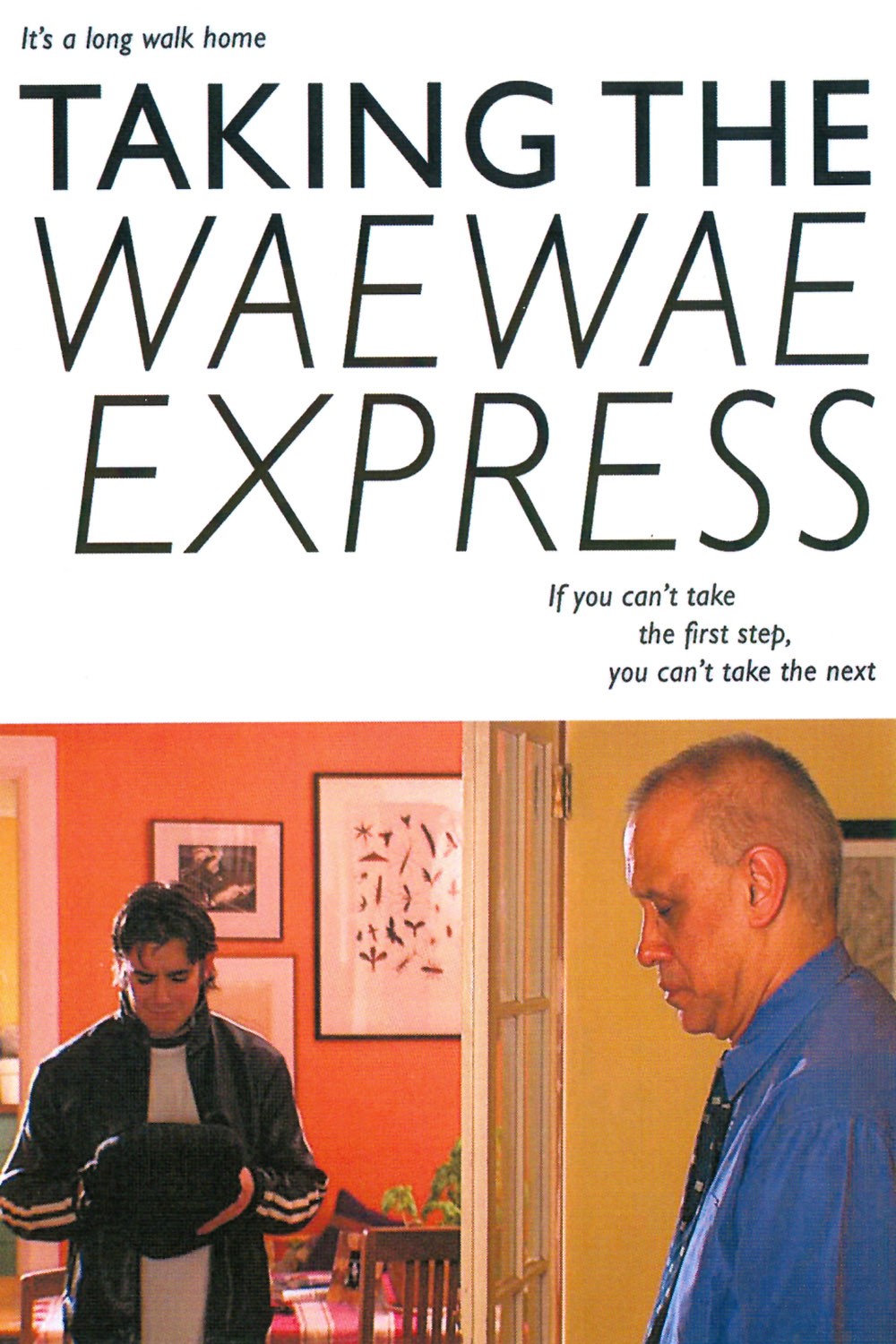 Taking the Waewae Express